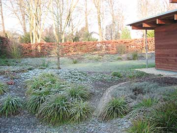 Garten im Winter